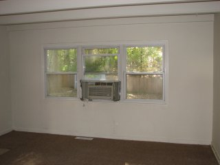 Living room window