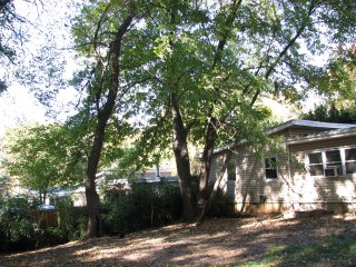 Back of house