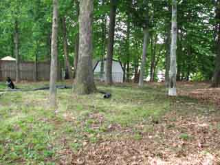 back yard